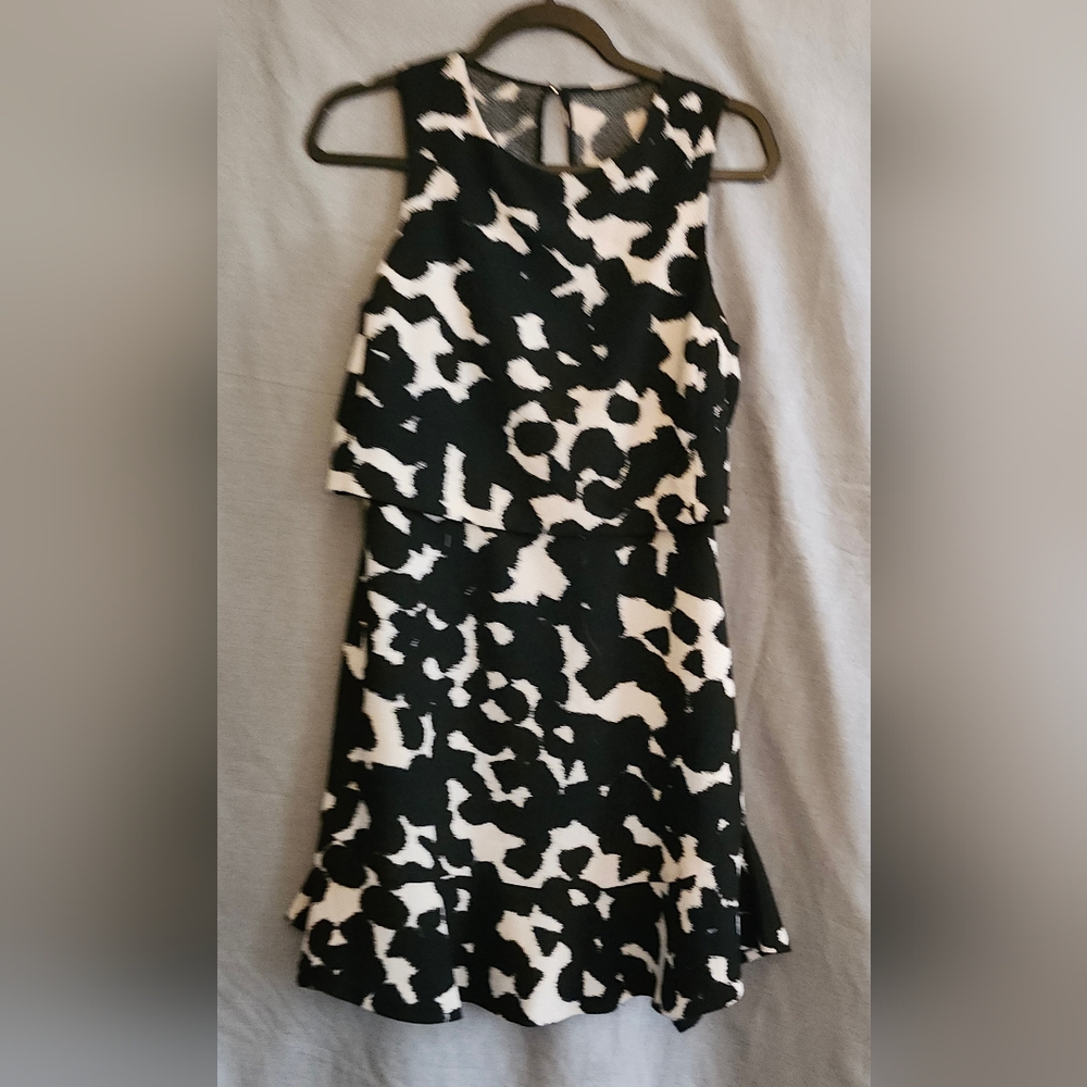 Banana Republic Black and White Ruffled Mini Dress
